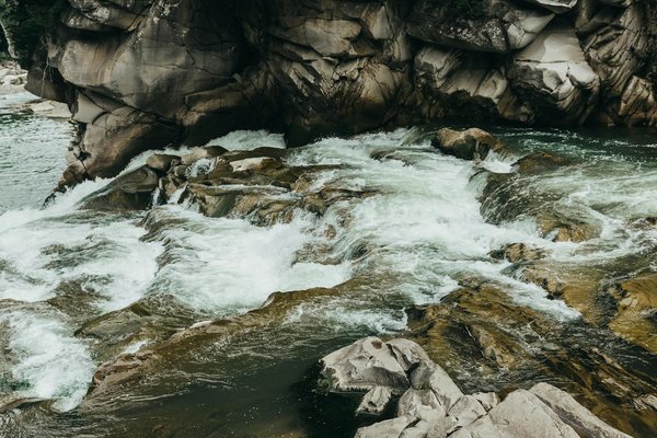 Quels sont les meilleurs sites pour observer les phoques en Afrique du Sud?